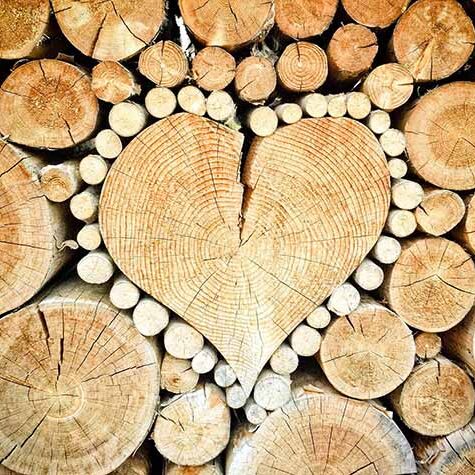 heart logs